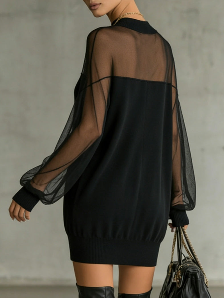 Ruxley Black Mesh Sleeve Mini Dress - High Neck Sheer